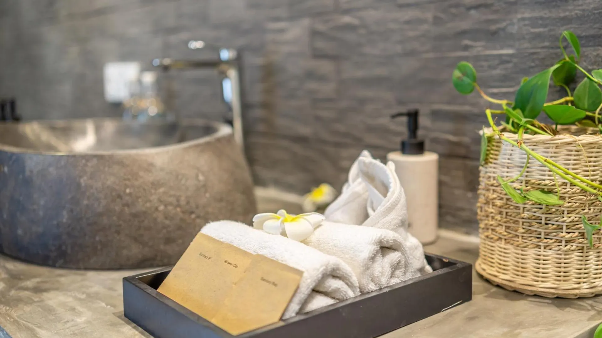 Guest house The Hepburn Stylish Single Room Guesthouse With Shared Pool 900M From Seminyak Beach